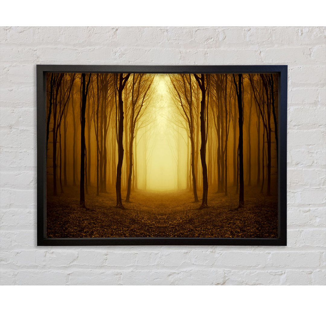 Through The Golden Path - Einzelbildrahmen Kunstdrucke auf Leinwand