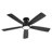Cissline 46" Sleek Flush Mount Ceiling Fan with Led Lights and Remote for Bedroom, Living Room-1399904791-1399904790