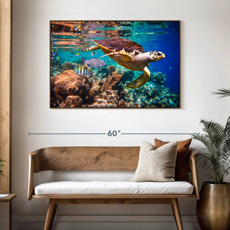 Vie marine vive, 46 po x 31 po, Cadre flottant noyer