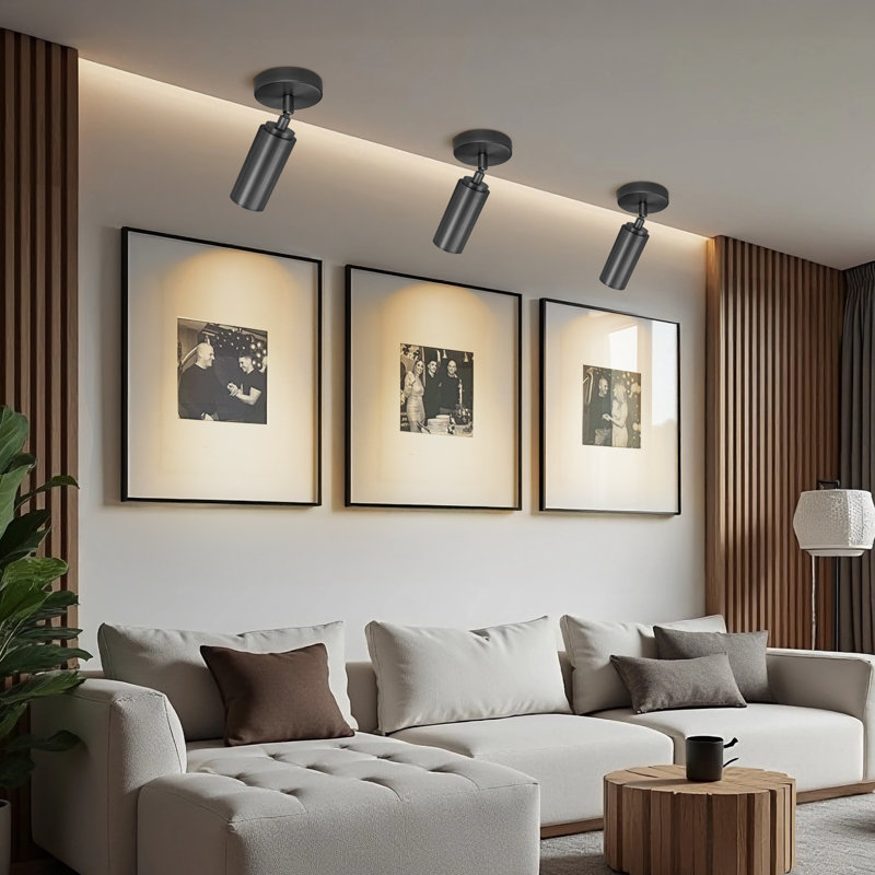 Dimmable 360° Rotatable LED Ceiling Light Picture Light, Black