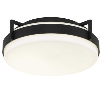 12" Integrated LED Flush Mount Ceiling Light