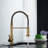 Senlesen Pull Down Kitchen Faucet