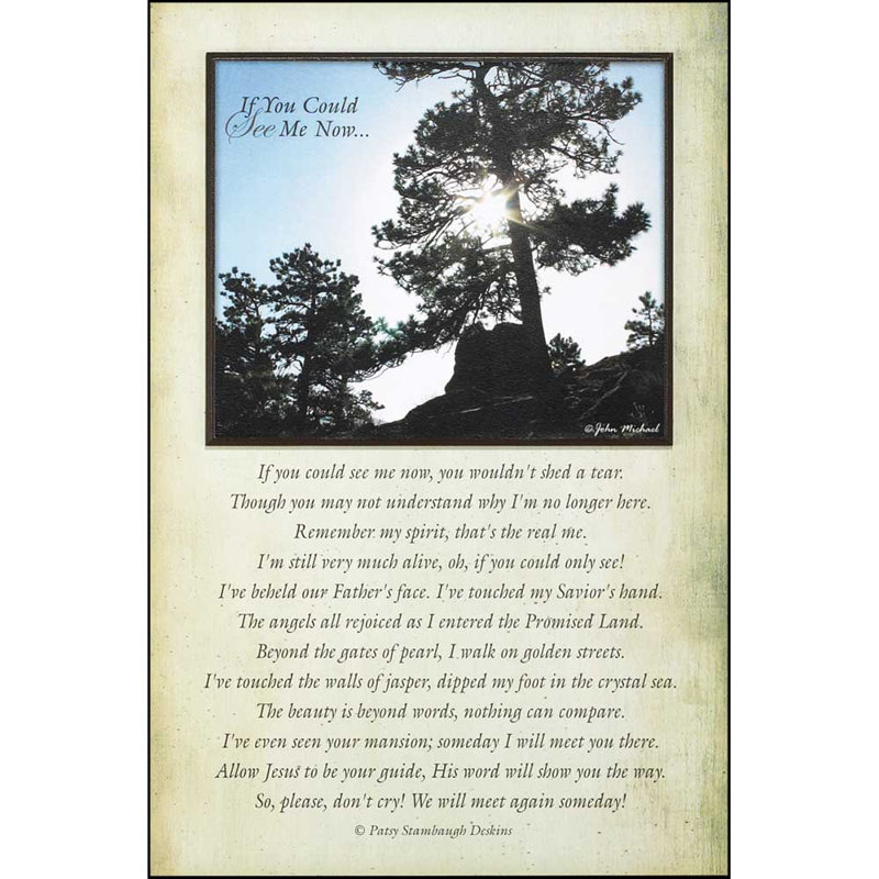 « if you now see me now » par john michael, impression sur plaque