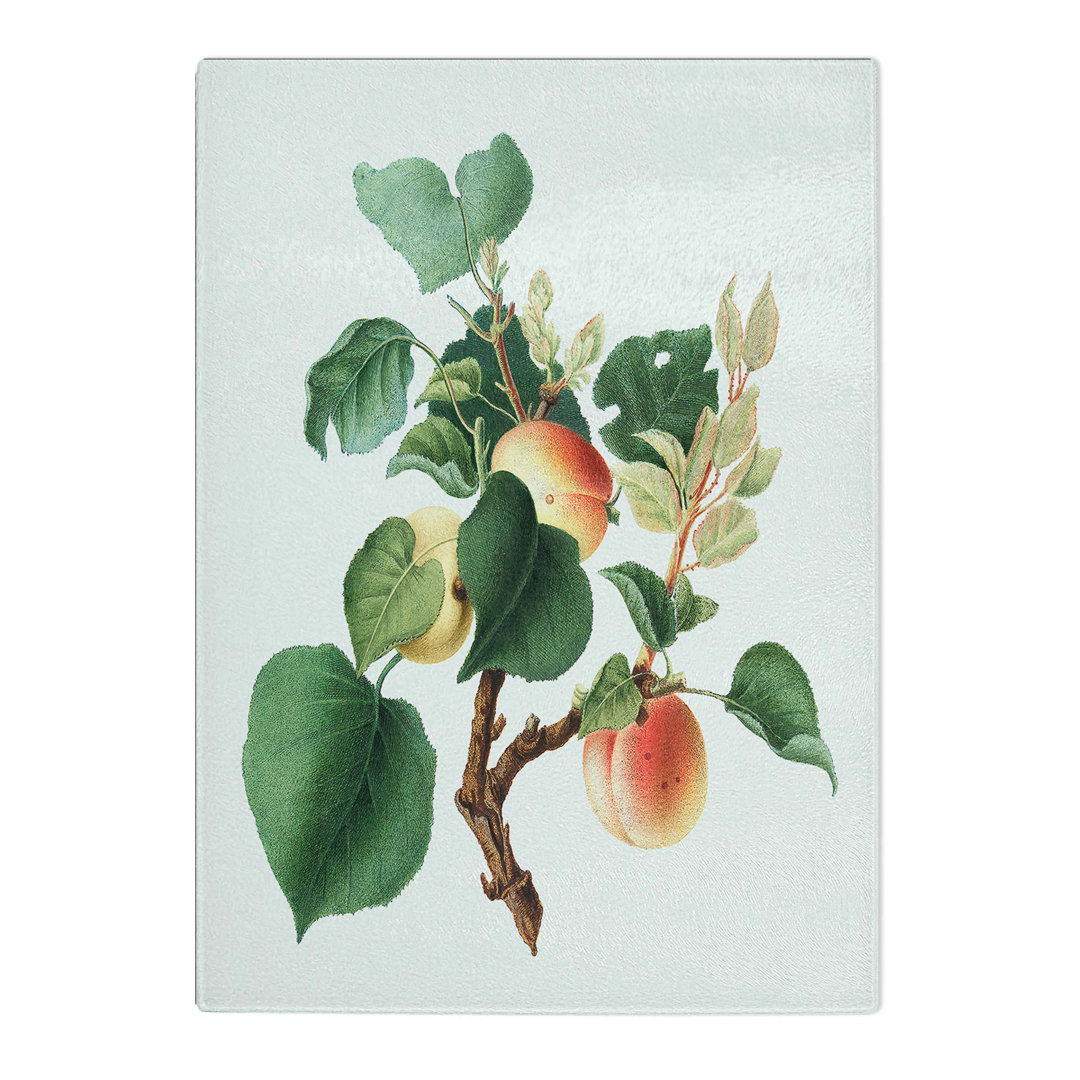 Tempered Glass Apricot Tree by Giorgio Gallesio Chopping Board