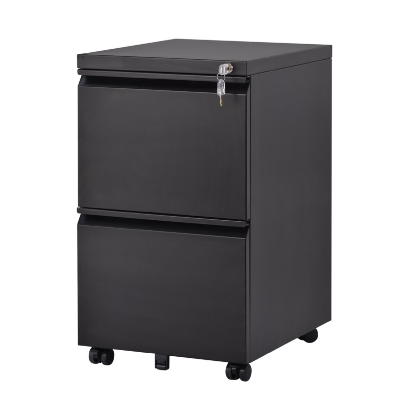 15'' Wide 2 -Drawer Mobile Steel File Cabinet, Black