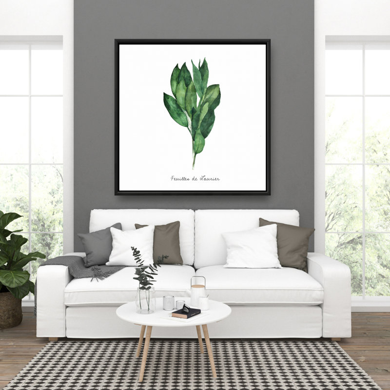 " Bay Leaves Bundle - Fr "