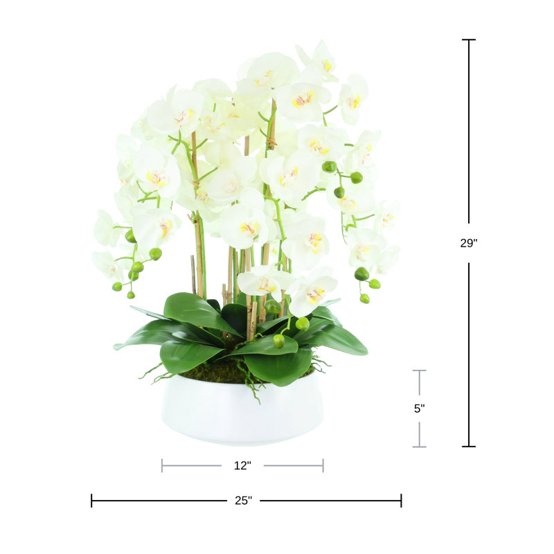 Orchid Arrangement in a Round Ceramic Vase