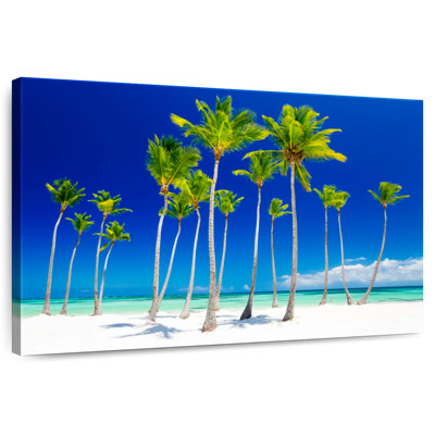 Gillard Palm Island Gillard Scene