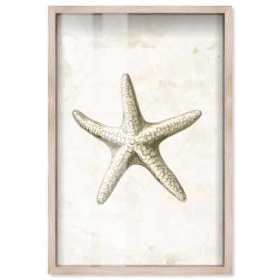 «Starfish I Shadowbox Print Coastal» par Art Remedy, cadre blond, 17 x 25