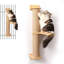 Pevensie Scratching Post