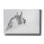 «White Horse» par PhotoINC Studio-62237033