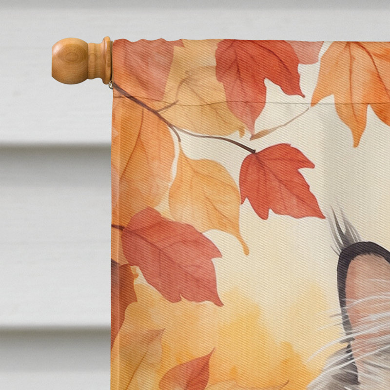 Chat en feuilles d'automne, Persan