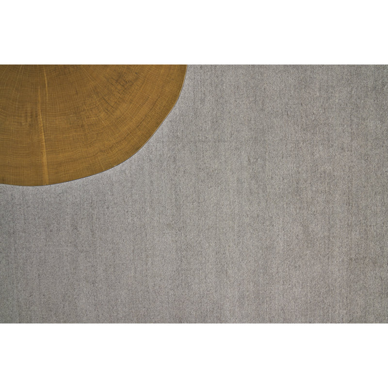 Sanctuary Area Rug in Light Taupe, Rectangle 2' x 3'