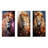 Lion Sun Kissed Mane Sovereign - Lion Metal Prints Set Of 3-23134694