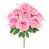 Blush Fuchsia
