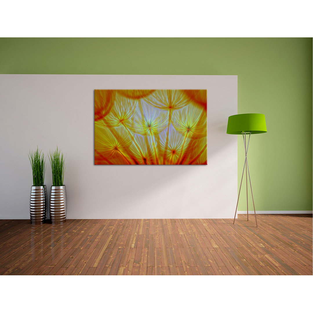 Leinwandbild Pusteblumen oranges Licht