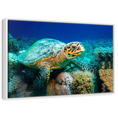 Tortue sous l'eau