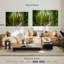 Alvord - forêt tropicale mystique-107970230