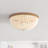 Knupp 3 - Light Unique / Statement Dome Flush Mount