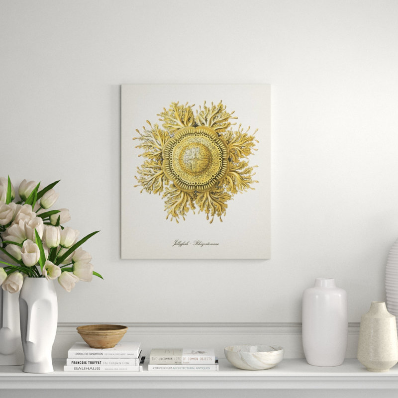 Nautical Art II Print by Sofia Fox, Outdoor, 28" H x 24" W x 1.5" D