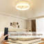 Ceiling Fan with LED Lights