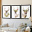 Collection Holiday B Deer-271487300-271487301