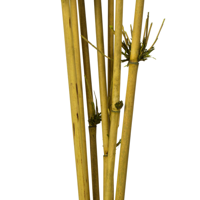 Faux Reed Plant