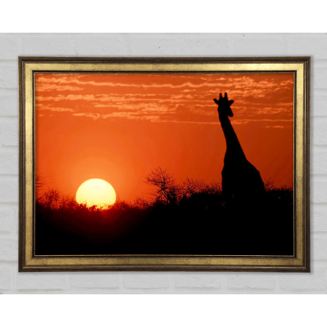 Sunset Giraffe - Einzelner Bilderrahmen Kunstdrucke