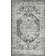 Raghdah Oriental Indoor Rug