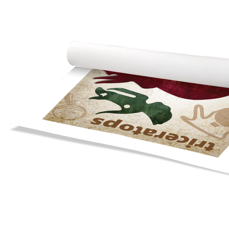 Adhésif décoratif dinosaures-04 ', H 24 po x l 20 po x P 1 po, Papier