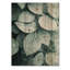 «Rainy Day Leaves Collage II», art mural sur bois de feuilles, sur bois de pin naturel-2076773758