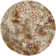 Shroyer Porcello Performance Geometric Rug