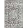 Ragheb Oriental Indoor Rug