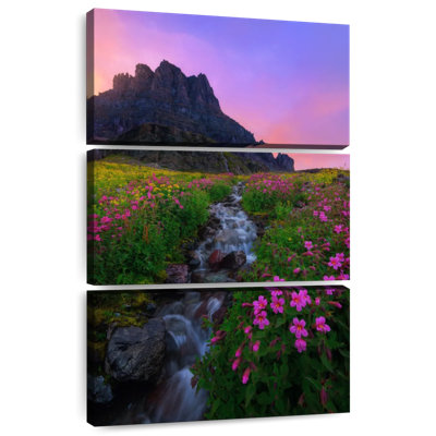 Alvord Scenic Flower Field