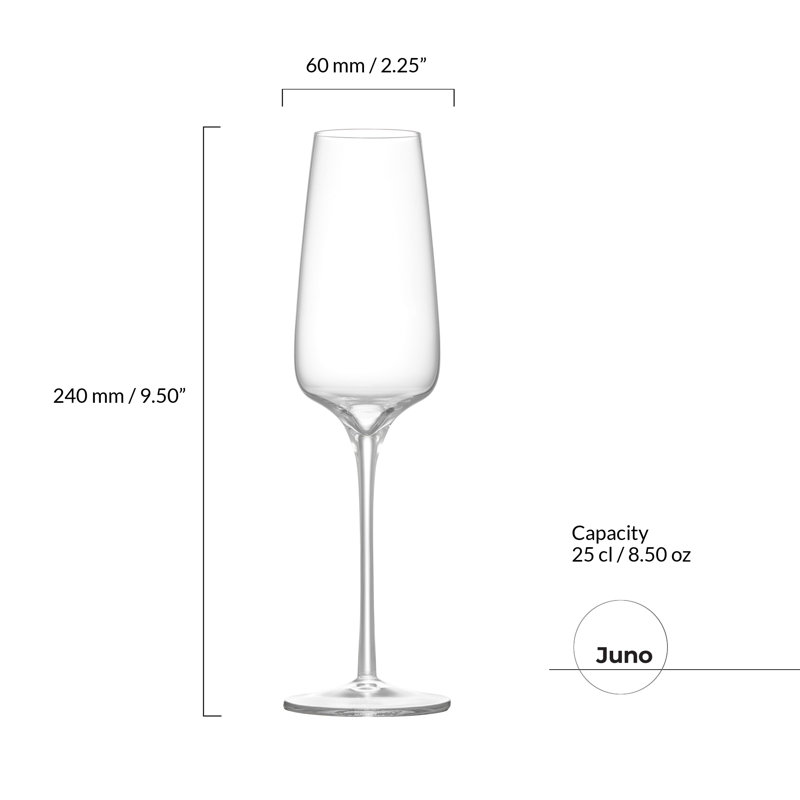 Juno - Flûtes à champagne - ensemble de 2 - transparent