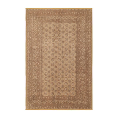 Balani Oriental Indoor Rug