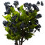 Plastic, Silk Grape Leaf Arrangement