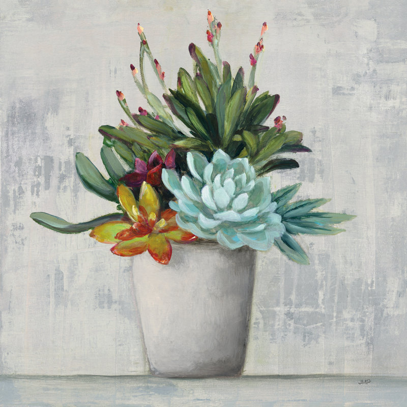 «Succulent Still Life I» par Julia Purinton, reproduction d'art sur toile tendue, H 12 po x l 12 po, Non, Toile tendue