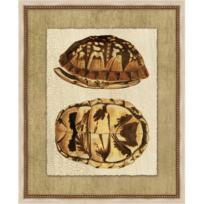 Neutral Turtle " Neutral Turtle 2 " Painting Print