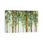 Forest Study I Crop by Lisa Audit - Painting on Canvas-69396813-56731377