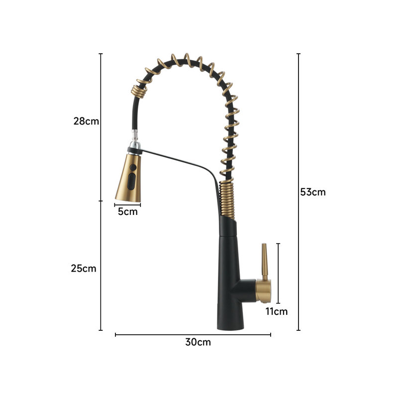 Belfry Kitchen Apollinaris Kitchen Faucet, Matte Black/Gold