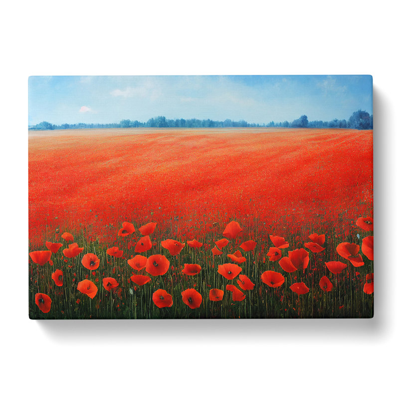 Superb Poppy Field Flowers - Wrapped Canvas