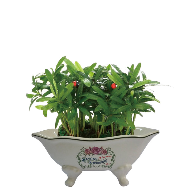 Kingston Brass Savons Superfins 7-9/16-Inch Mini Tub