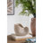 8.5X5.5X6.3" Sand And Cement Nautilus Shell Planter With Textured Beige Finish-1874012956
