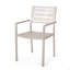 Outdoor Modern Aluminum Dining Chair (Set Of 2)