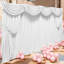 Iron Wedding Garden Arch Backdrops Stand