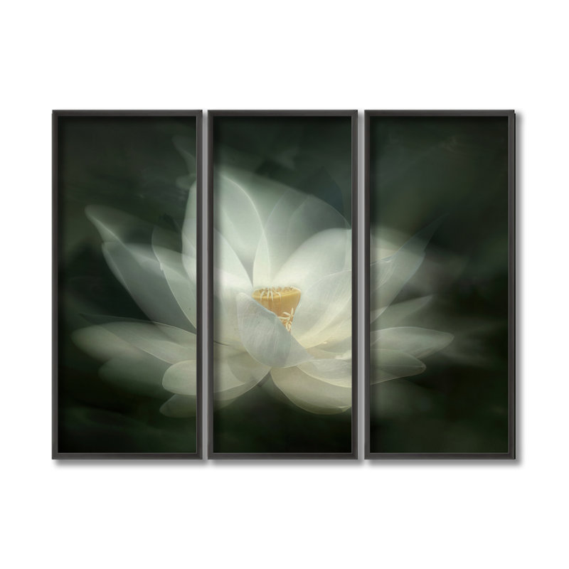 Nature Inspired Swaying by  - 3 Piece Picture Frame Photograph Set on Paper, 24" H x 36" W 