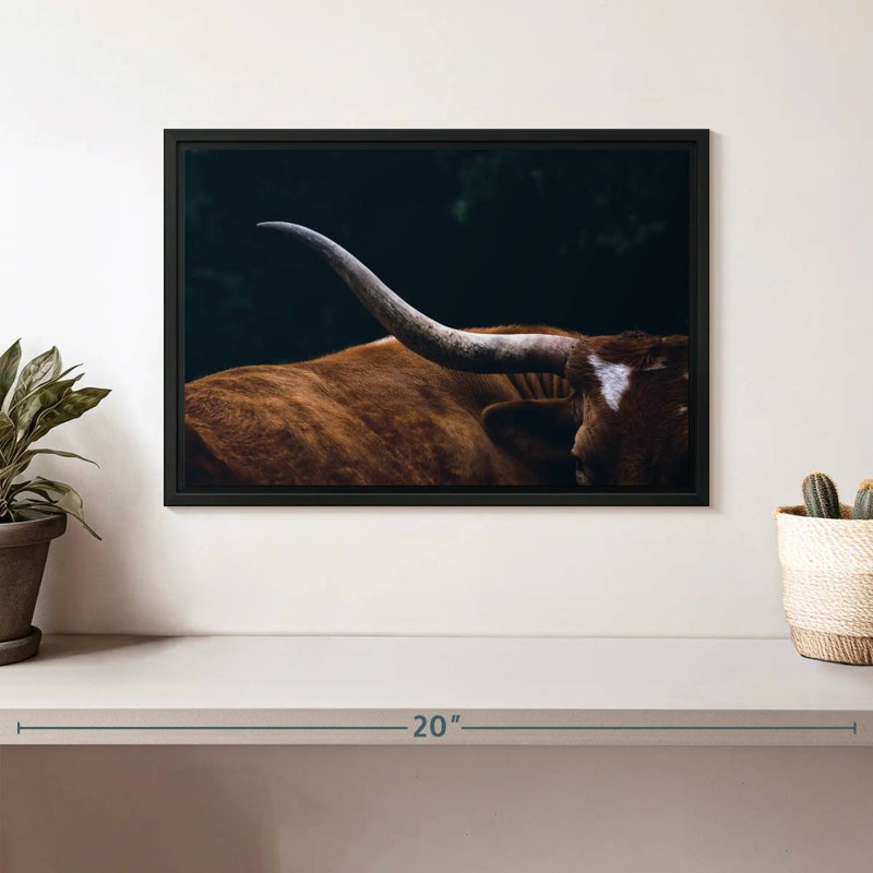 Cow Texas Longhorn, 9" H x 13" W