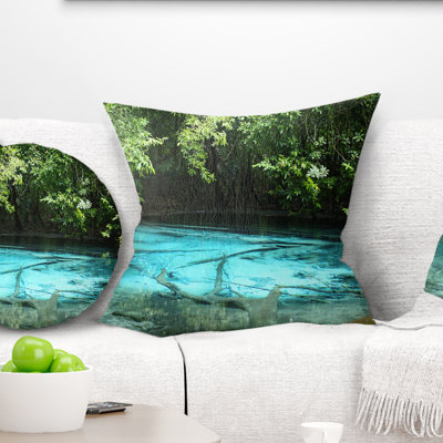Coussin Schafer