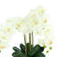 Orchid Faux Floral in Vase